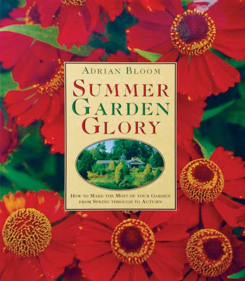 Summer Garden Glory Bookcover503x576
