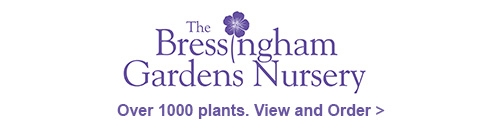 Bressingham Gardens Nursery