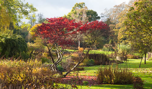 The Dell Garden in autumn