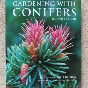 Gardening with Conifers 