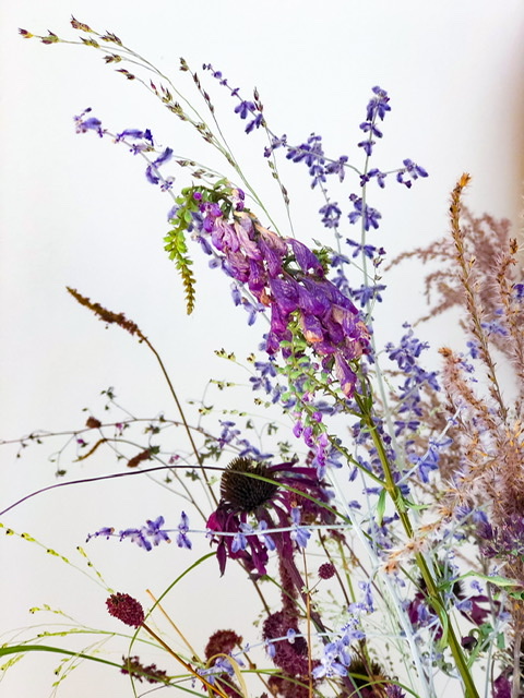 Dry Flowers & Keep Their Colour! — Botany