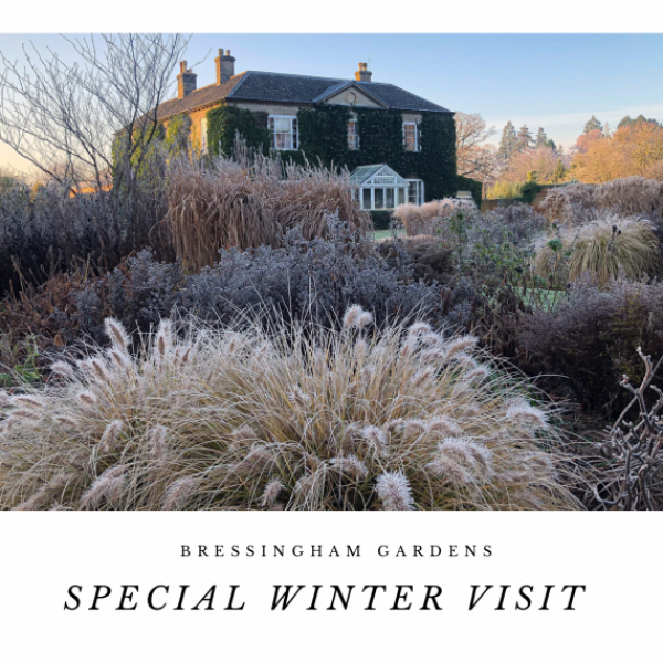 Winter Garden entry, guided tour and refreshments 15.02.26