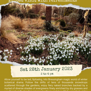 Snowdrop galore, guided tour and refreshments 28 January 2023