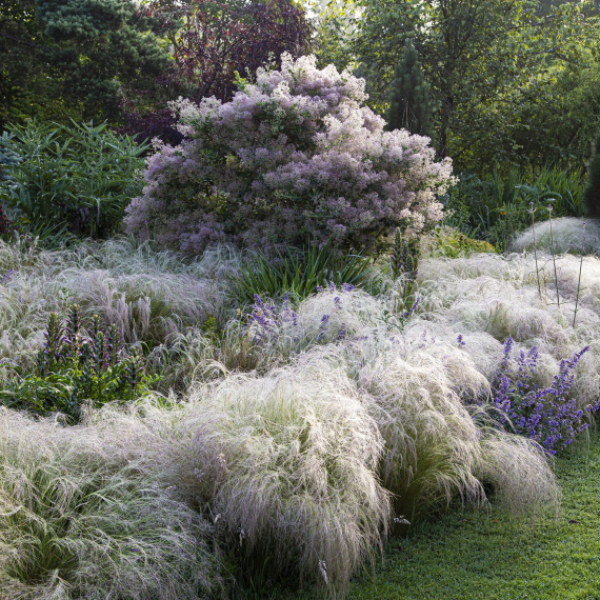 Private guided Visit Eagle Eye x 12 people 3rd May 26