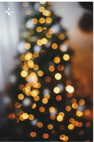 Christmas Party with Dinner and Disco - Image 11
