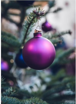 Christmas Party with Dinner and Disco - Image 10