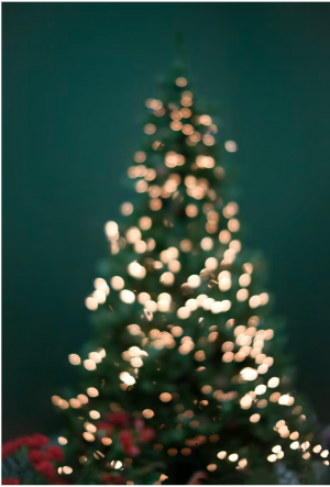 Christmas Party with Dinner and Disco - Image 9