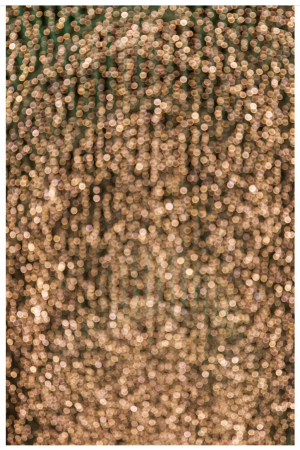 Christmas Party with Dinner and Disco - Image 6