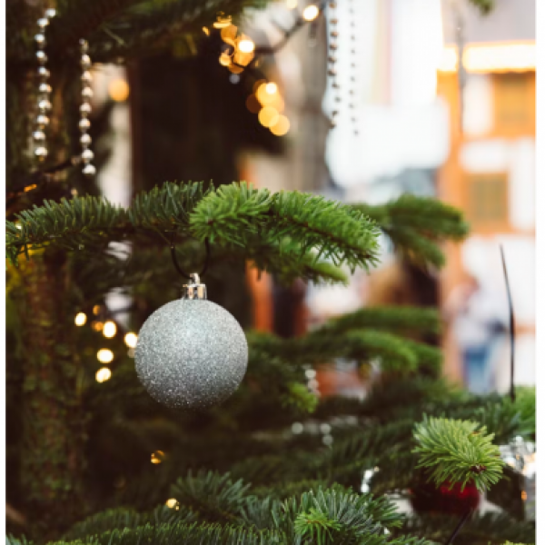 Christmas Party with Dinner and Disco