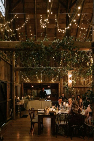 Magical Harvest Feast with Norfolk Edge 12th October - Image 4
