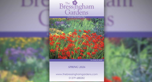 Spring 2026 Brochure