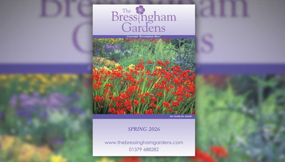 Spring 2026 Brochure